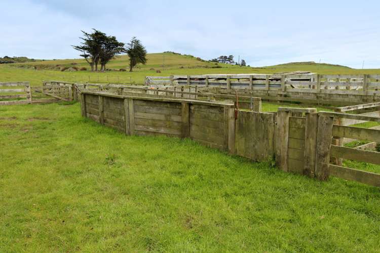 2171 Bluff Highway Greenhills_14