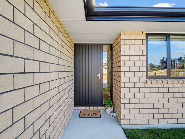 99 Fairfield Road Levin_2