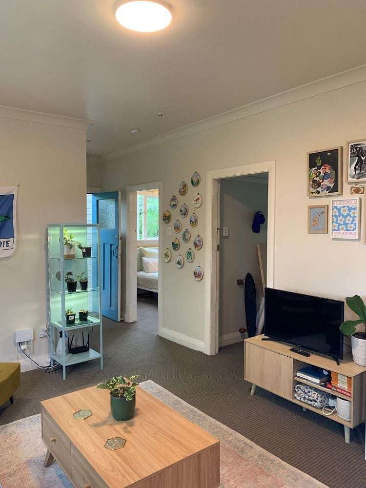 6A Semeloff Terrace Aro Valley_10