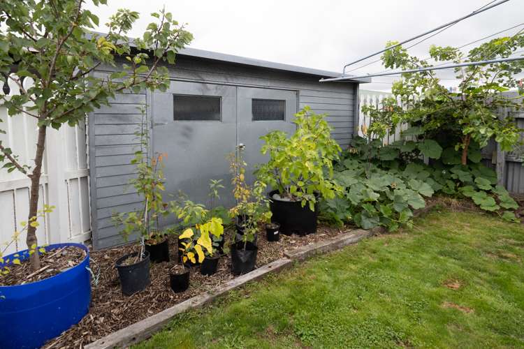 12 Cavendish Street Allenton_13