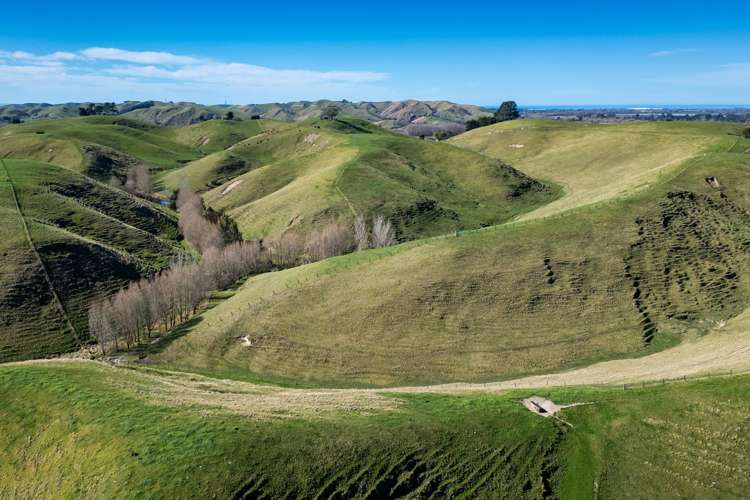 201 Breckenridge Road Puketapu_11