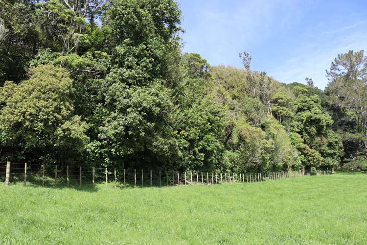 Lt2/310 Henwood Road Bell Block_13