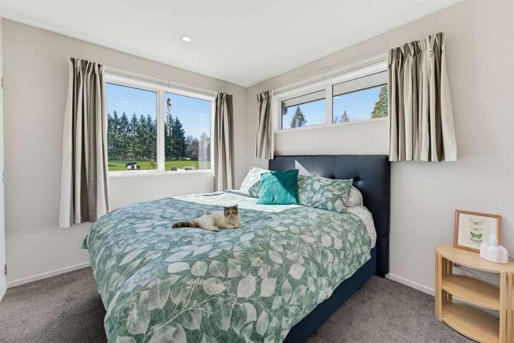 69 Oak Street Orari_11