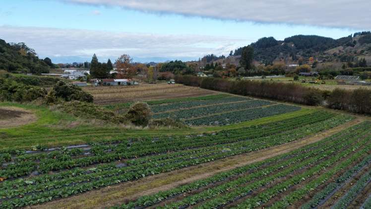 154a Takaka Hill Highway, Riwaka Motueka_6