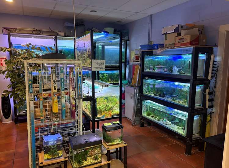 Address withheld Auckland_5