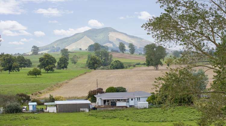 338 Frontier Road Te Awamutu_0