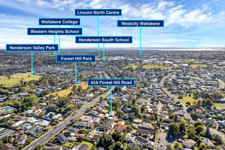 42a Forest Hill Road Henderson_26