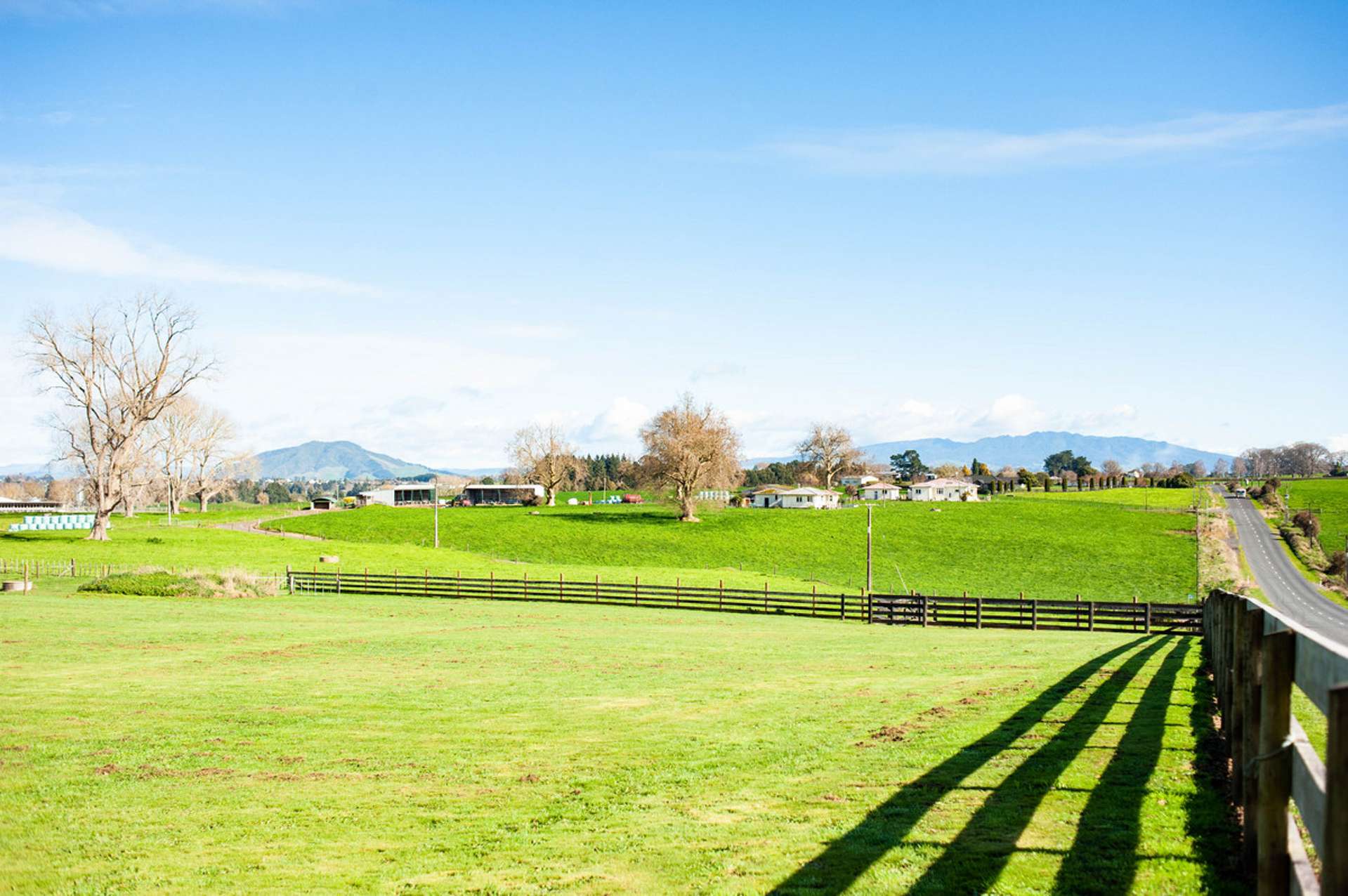 300 Puahue Road Te Awamutu_0