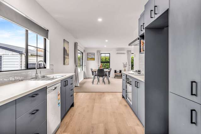 101 South Town Belt Rakaia_2