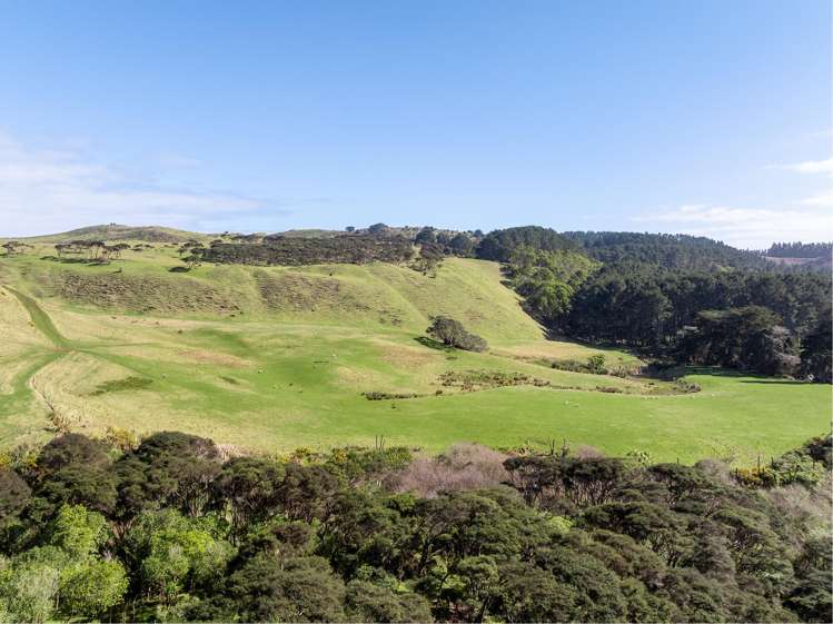 88 Lake Road Kawhia_26