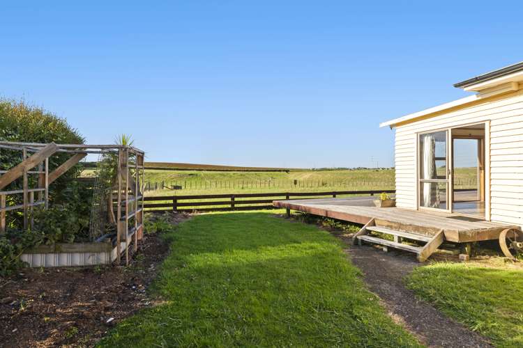 7 Punga Punga Road Pukekawa_10