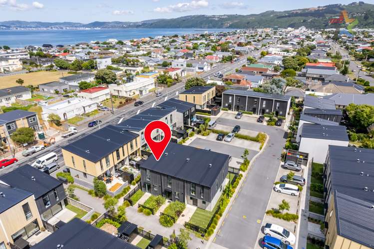 6 Te Ara O Paetutu Petone_24