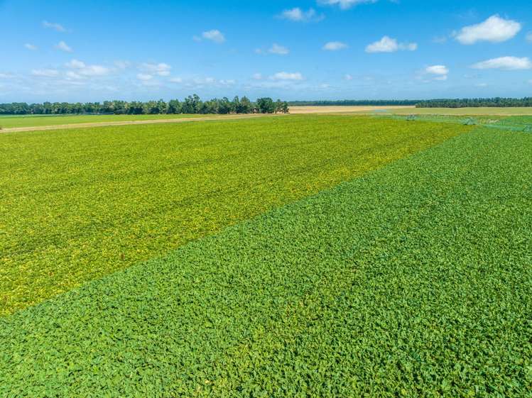 1372 South Two Chain Road Dunsandel_11