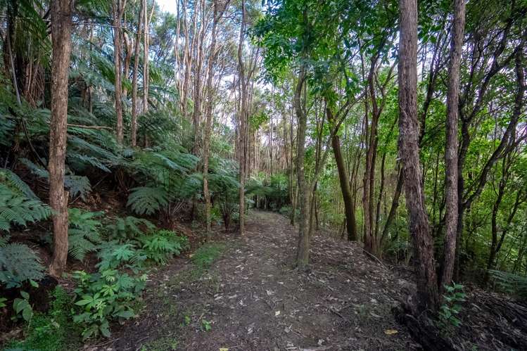 86 Upper Waiwera Road Puhoi_41