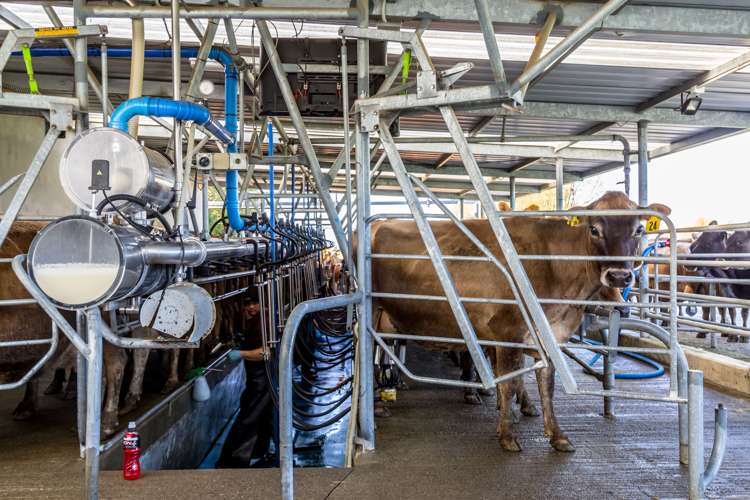 108 Pukewhai Road Pahiatua_24