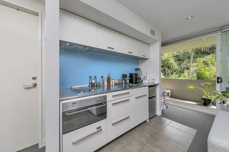 19/21 Birdwood Crescent Parnell_18