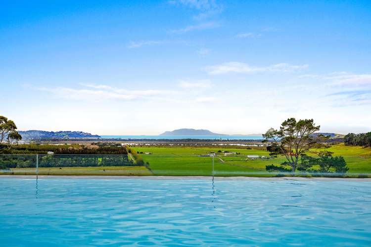 289 Takatu Road Tawharanui Peninsula_3