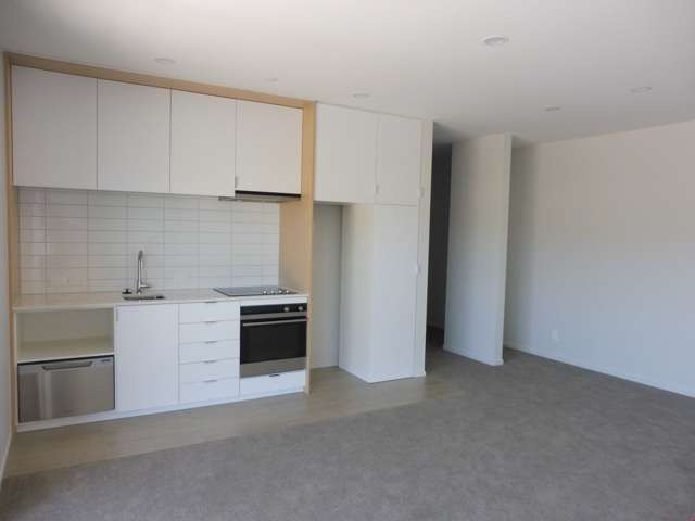 111/3 Bluegrey Avenue Stonefields_3