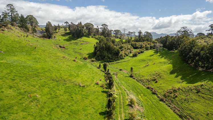 231 Walford Road Aongatete_13