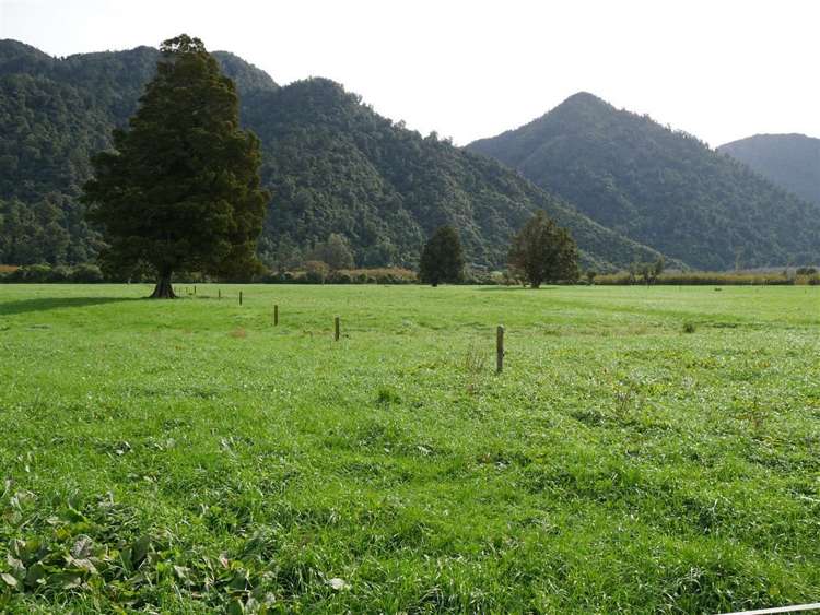 44 Wigzell Road Kahurangi National Park_25