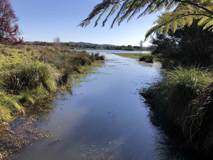 9 Pearson Road Whitford_12