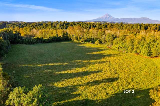 0n Umutekai Road Hillsborough_3