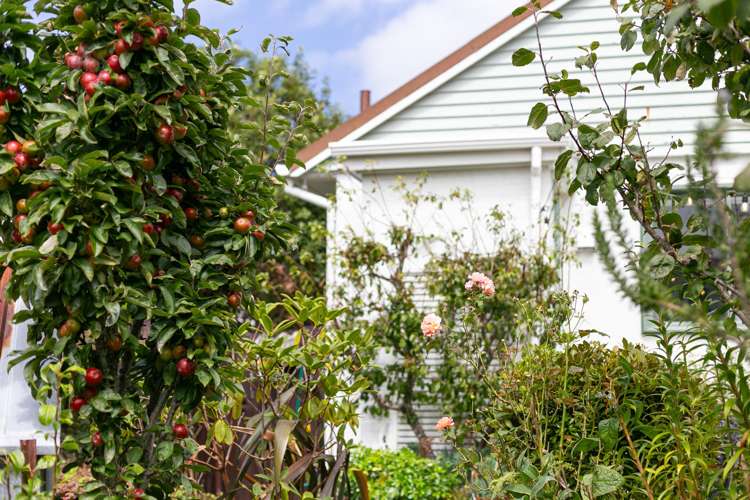 21 Hindmarsh Street Johnsonville_16