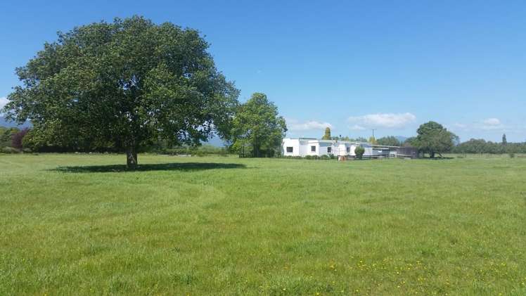 223 No 1 Road Waitoa_9