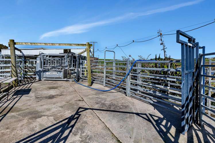 144 Poyner Road Matakohe_15