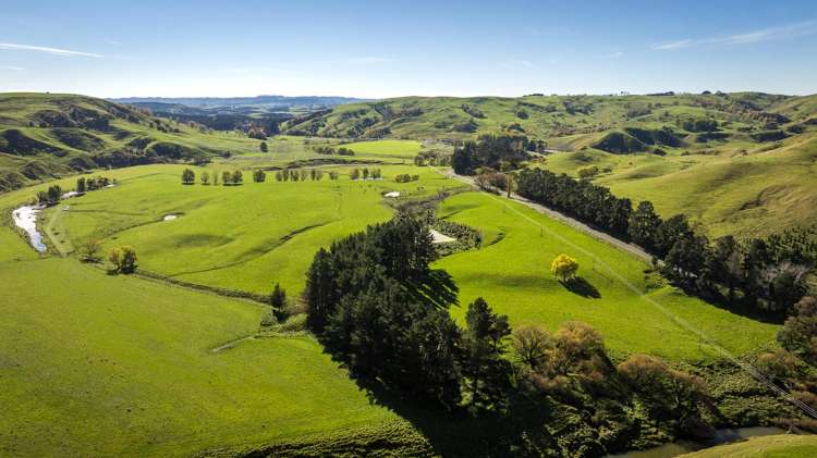3503 Porangahau Road Porangahau_3