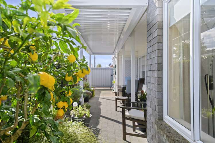 36a Malfroy Road Victoria_17