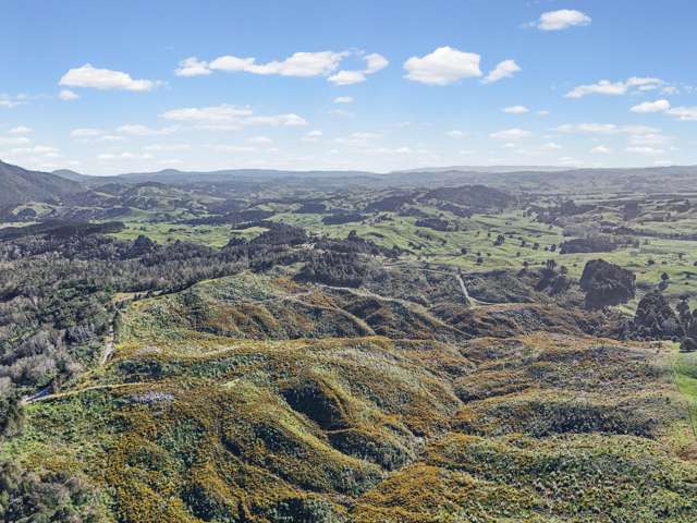 213 Hilford Road Waiotira_3
