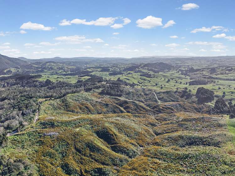 213 Hilford Road Waiotira_3