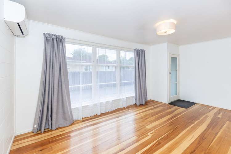 141b Galloway Street Hamilton East_3