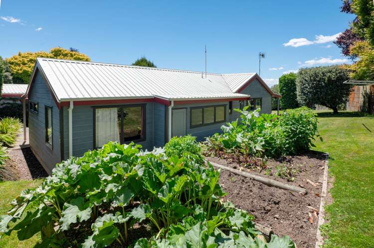 16 Day Place Springfield_28