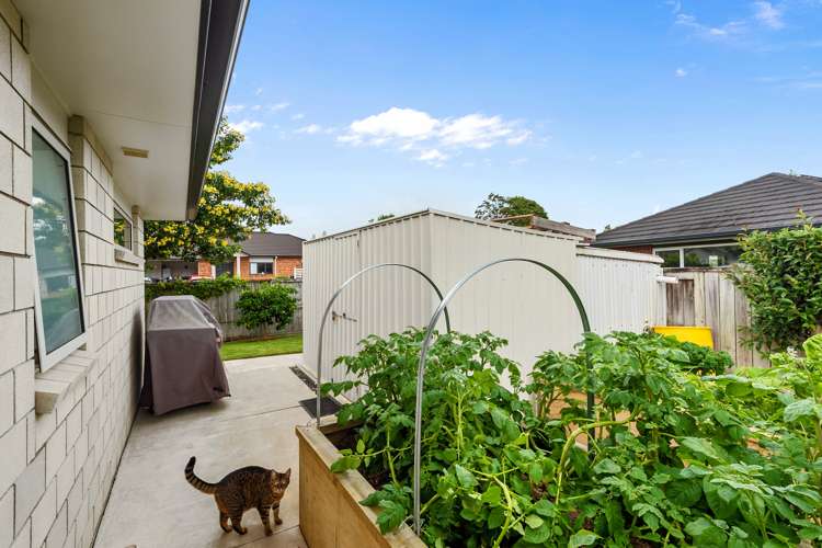 11 Allendale Place Morrinsville_19