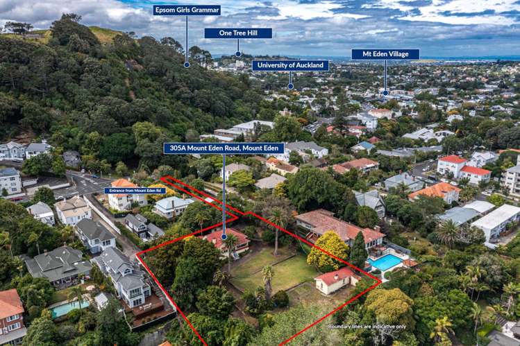 305A Mt Eden Road Mt Eden_1