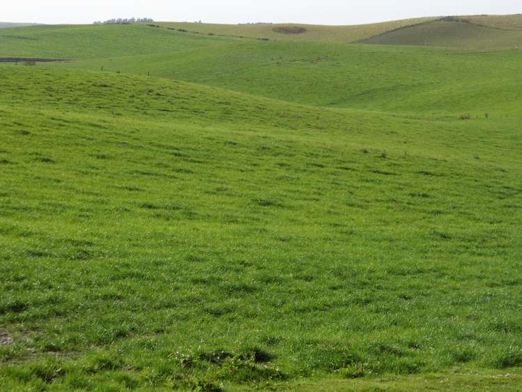 277 Cowans Road Enfield and Surrounds_11