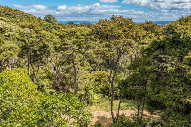 333 Cowes Bay Road Waiheke Island_11