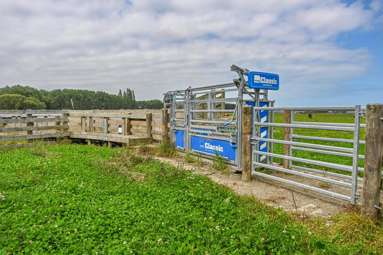 77 Arowhenua Station Road_2