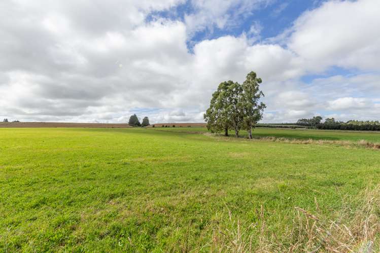 345 Summerhill Road Cust_27