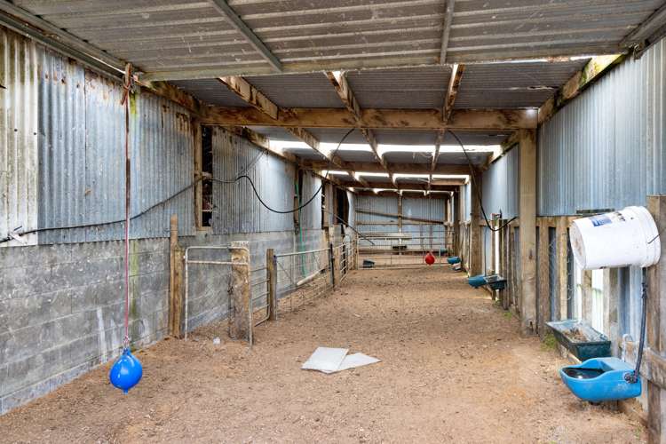 256 Lower Stuart Road Eltham_14