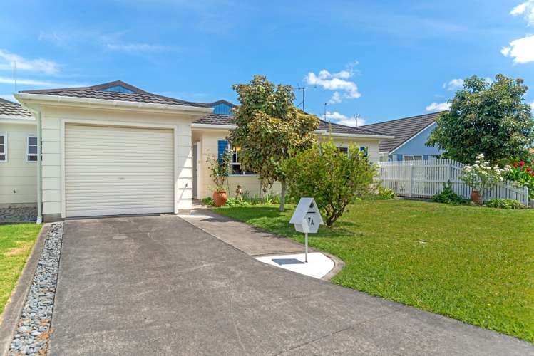 7a Gardner Place Inner Kaiti_18