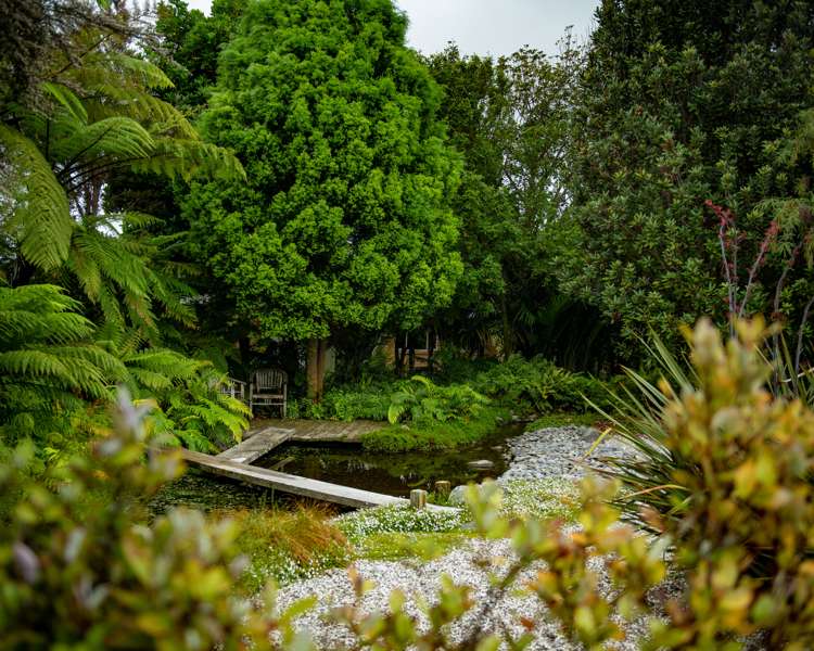 239 Redwood Street Witherlea_40