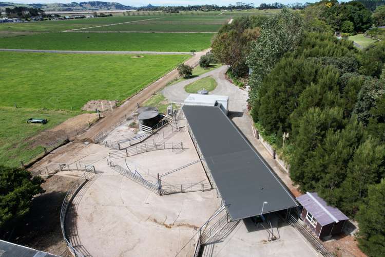 674 Pouto Road Dargaville_5