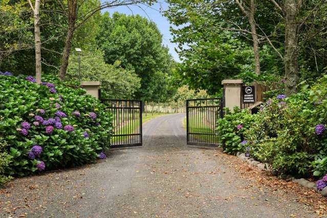 Premium Lifestyle | Prime Bare Kiwifruit Land