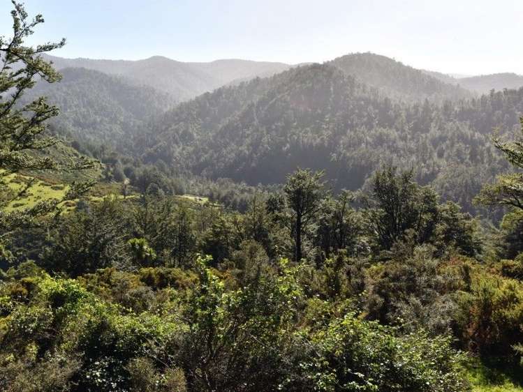 446 Glentui Bush Road Glentui_7