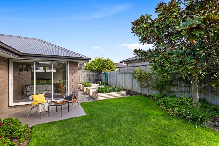 11 Rose Street Springlands_31
