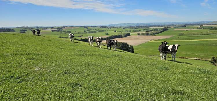 58 Blackhill Road Chatton_9