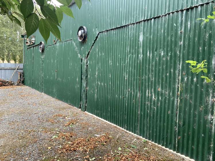 122 Old Port Road Catlins Surrounds_25